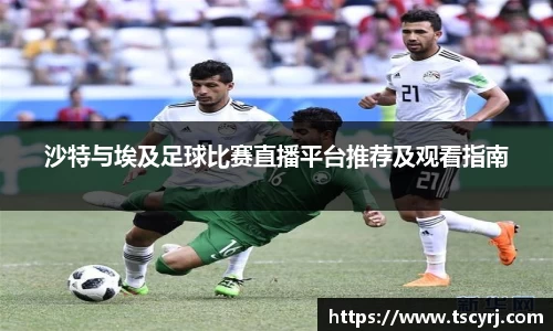 沙特与埃及足球比赛直播平台推荐及观看指南