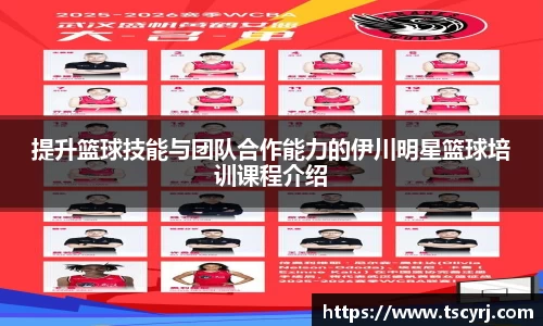 星空xingkong官方网站